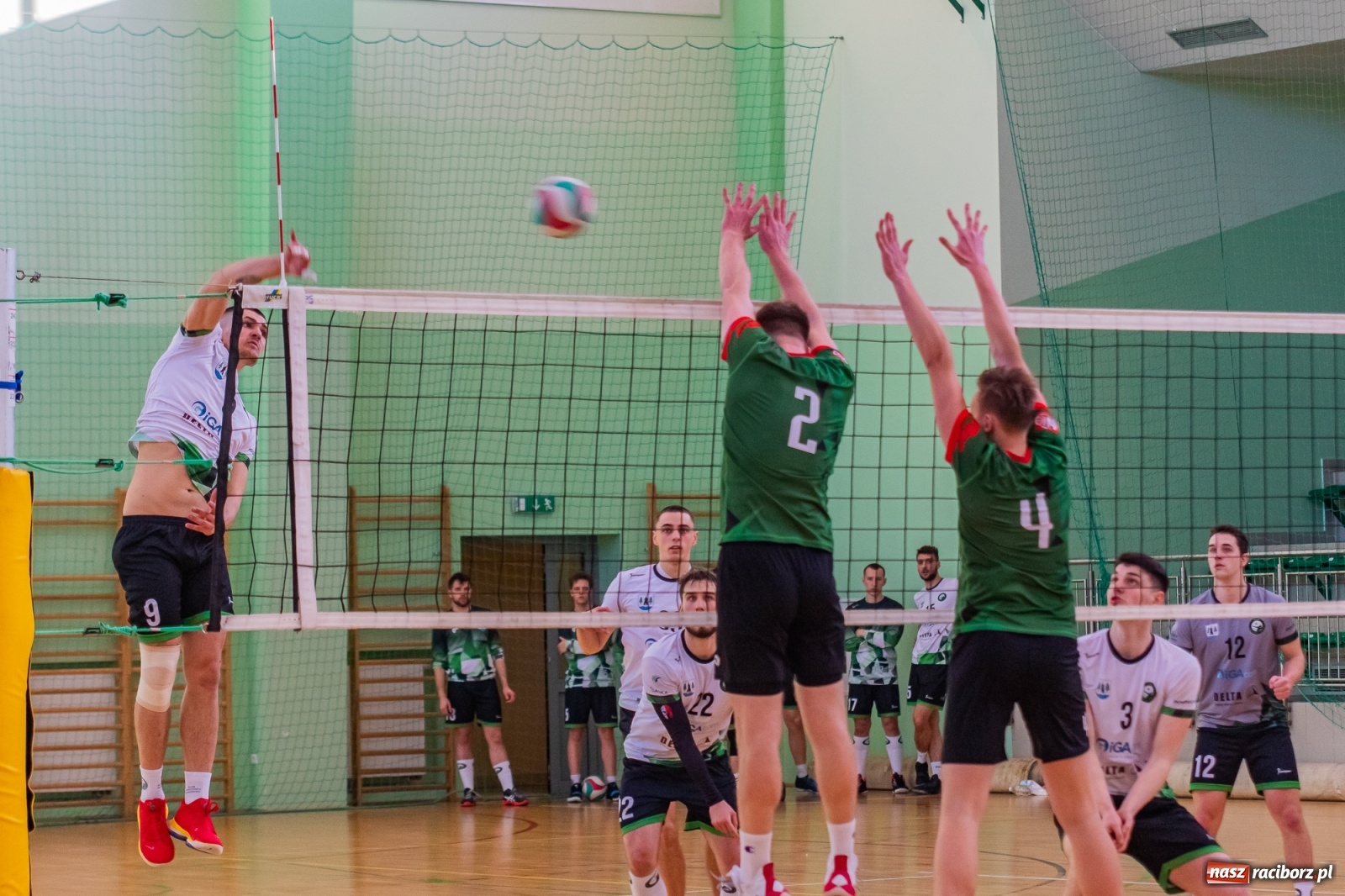 Zdjęcie w galerii na portalu naszraciborz.pl: Waleczna postawa to za mało. Siatkarze Rafako z jednym punktem [FOTO i WIDEO] wiadomości z regionu