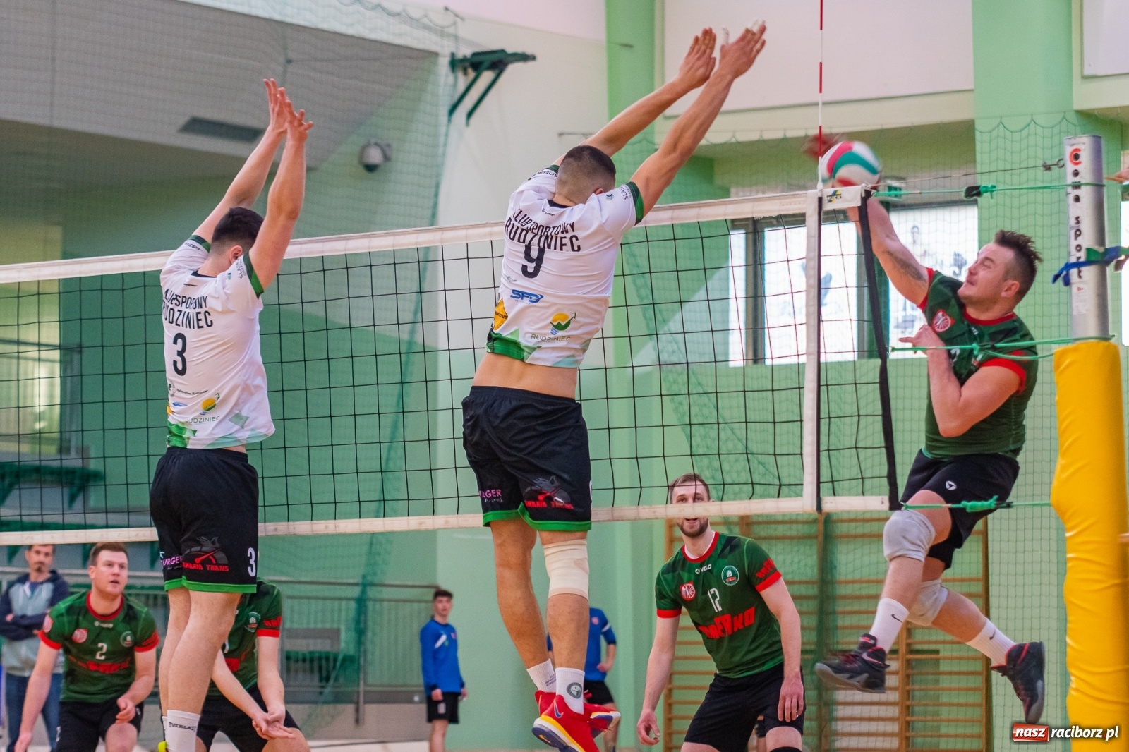 Zdjęcie w galerii na portalu naszraciborz.pl: Waleczna postawa to za mało. Siatkarze Rafako z jednym punktem [FOTO i WIDEO] wiadomości z regionu