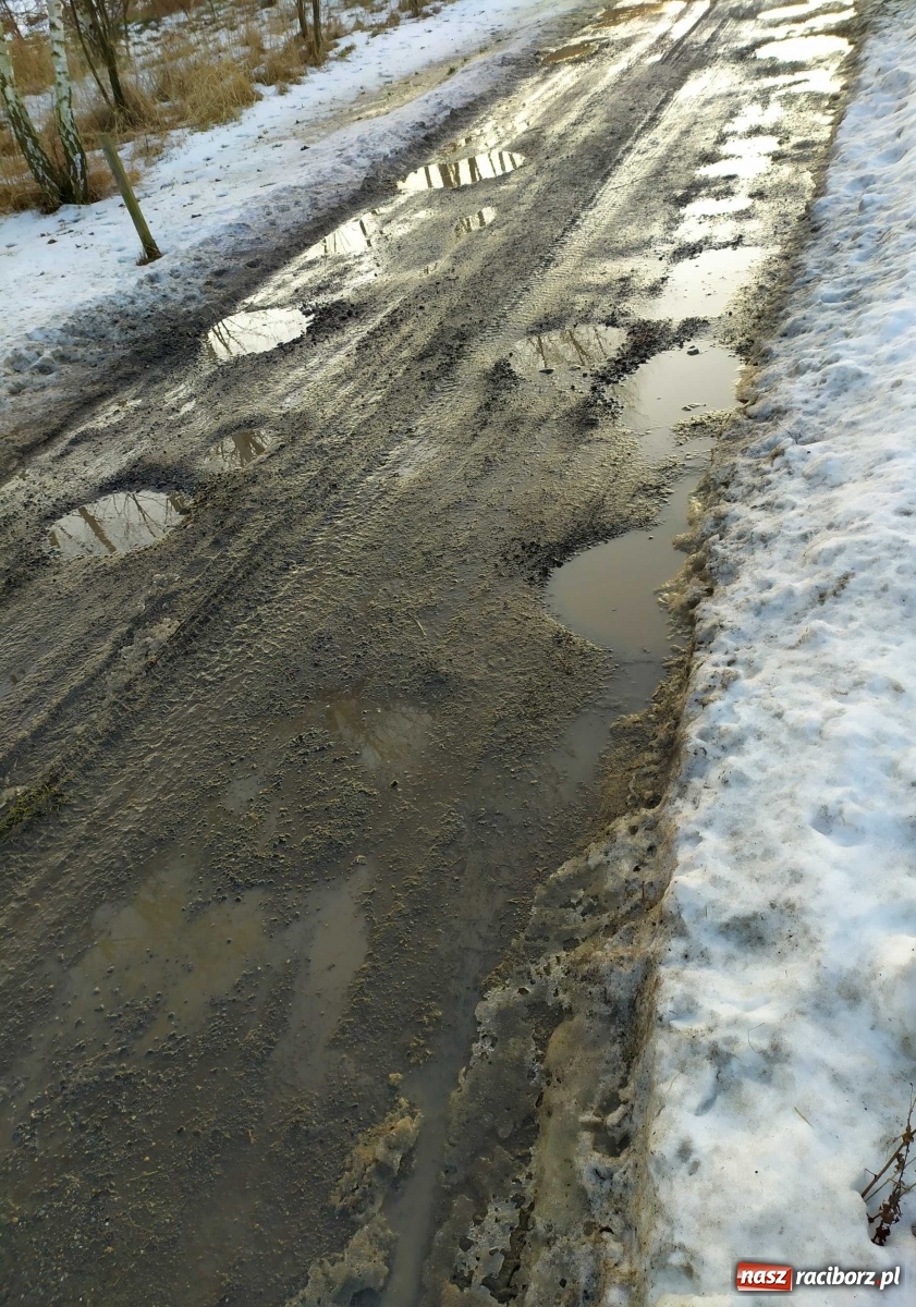 Zdjęcie w galerii na portalu naszraciborz.pl: Kolejna skarga na stan drogi w Kobyli wiadomości z regionu