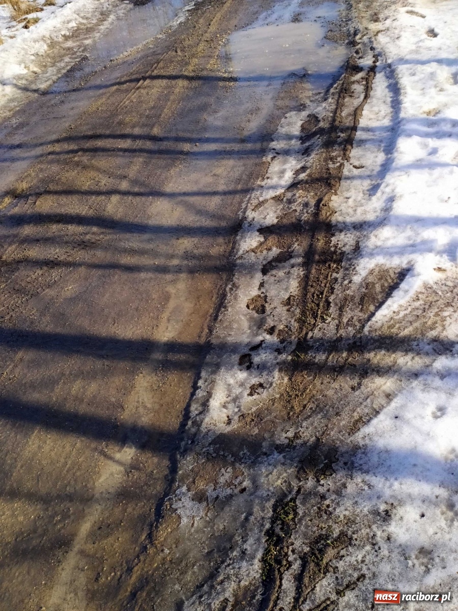 Zdjęcie w galerii na portalu naszraciborz.pl: Kolejna skarga na stan drogi w Kobyli wiadomości z regionu