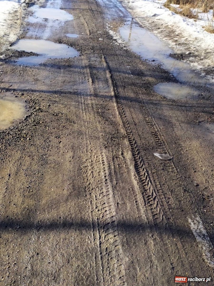 Zdjęcie w galerii na portalu naszraciborz.pl: Kolejna skarga na stan drogi w Kobyli wiadomości z regionu
