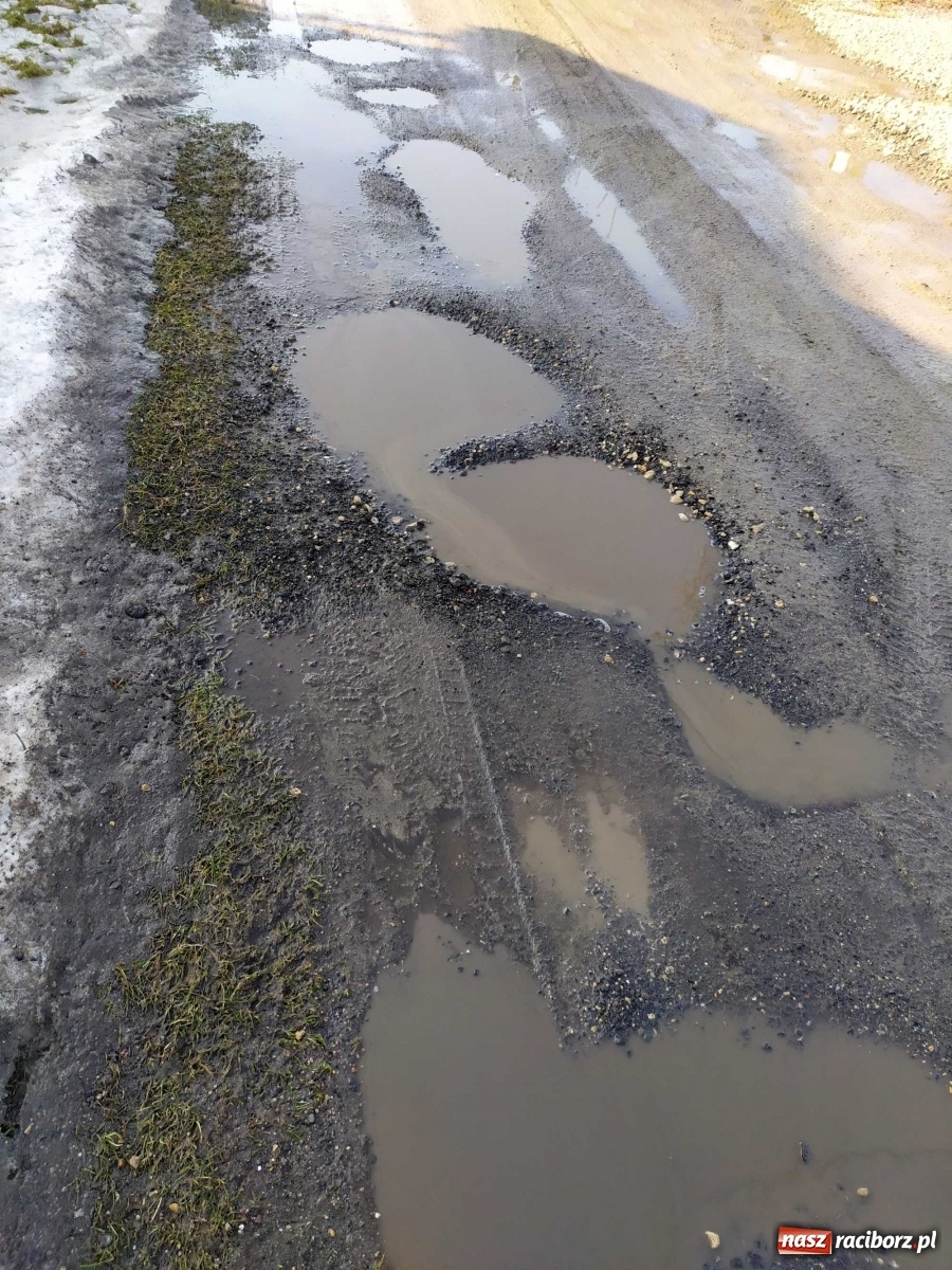 Zdjęcie w galerii na portalu naszraciborz.pl: Kolejna skarga na stan drogi w Kobyli wiadomości z regionu