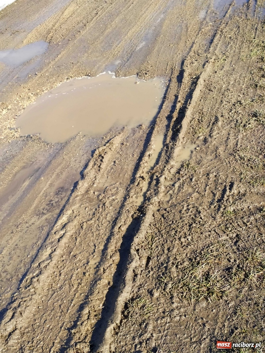 Zdjęcie w galerii na portalu naszraciborz.pl: Kolejna skarga na stan drogi w Kobyli wiadomości z regionu