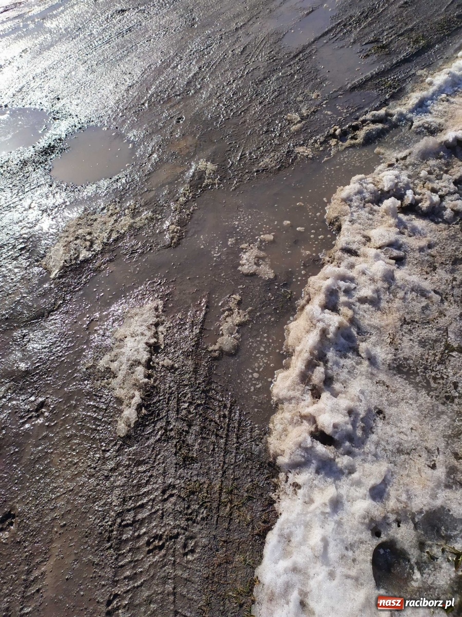 Zdjęcie w galerii na portalu naszraciborz.pl: Kolejna skarga na stan drogi w Kobyli wiadomości z regionu