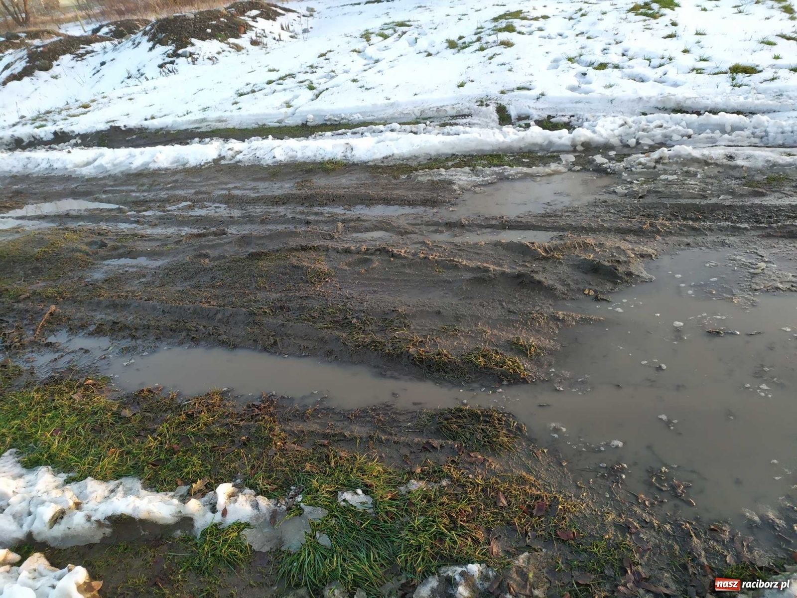 Zdjęcie w galerii na portalu naszraciborz.pl: Kolejna skarga na stan drogi w Kobyli wiadomości z regionu