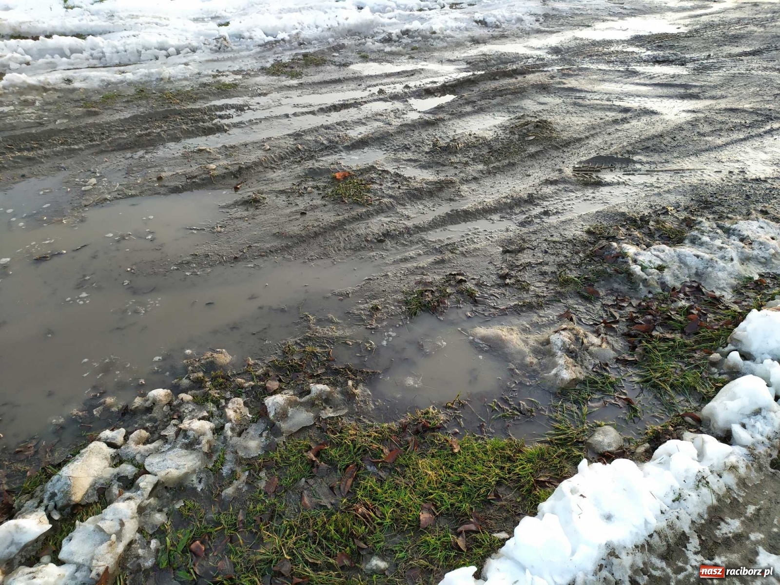 Zdjęcie w galerii na portalu naszraciborz.pl: Kolejna skarga na stan drogi w Kobyli wiadomości z regionu