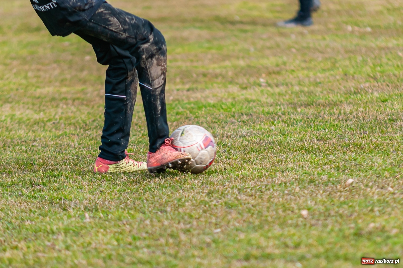 Zdjęcie w galerii na portalu naszraciborz.pl: APN Talent Trzebnica na zgrupowaniu w gminie Krzyżanowice [FOTO] wiadomości z regionu