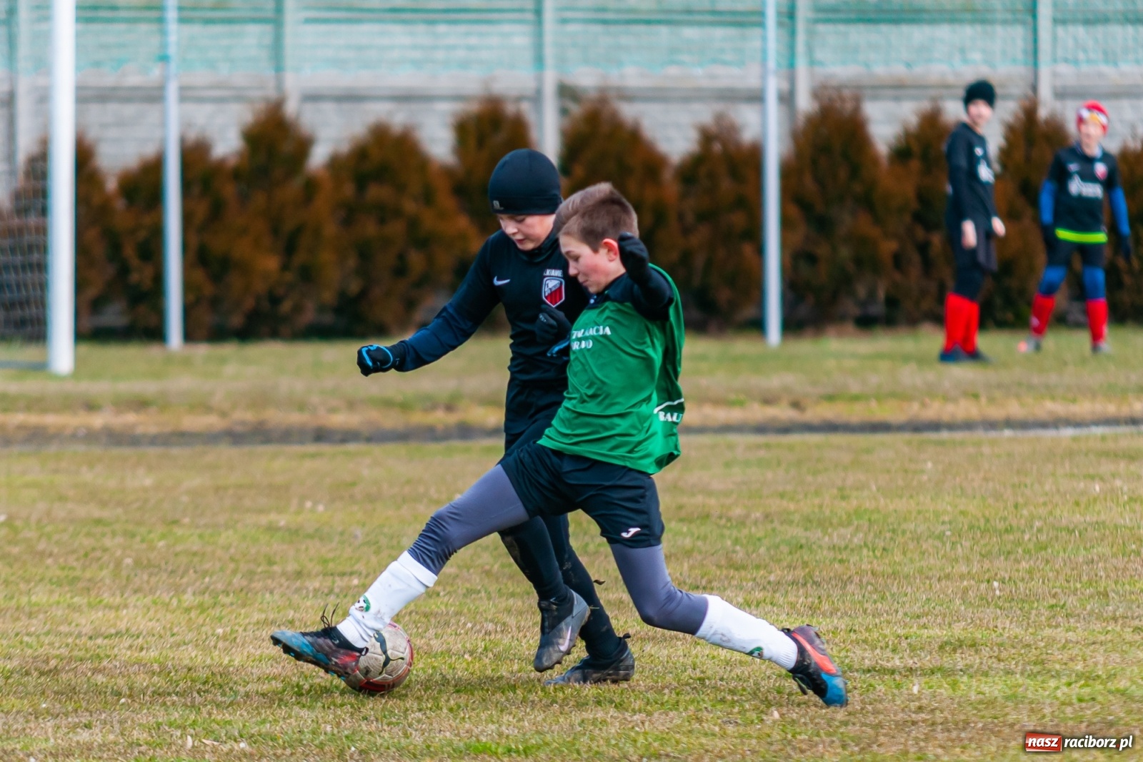 Zdjęcie w galerii na portalu naszraciborz.pl: APN Talent Trzebnica na zgrupowaniu w gminie Krzyżanowice [FOTO] wiadomości z regionu