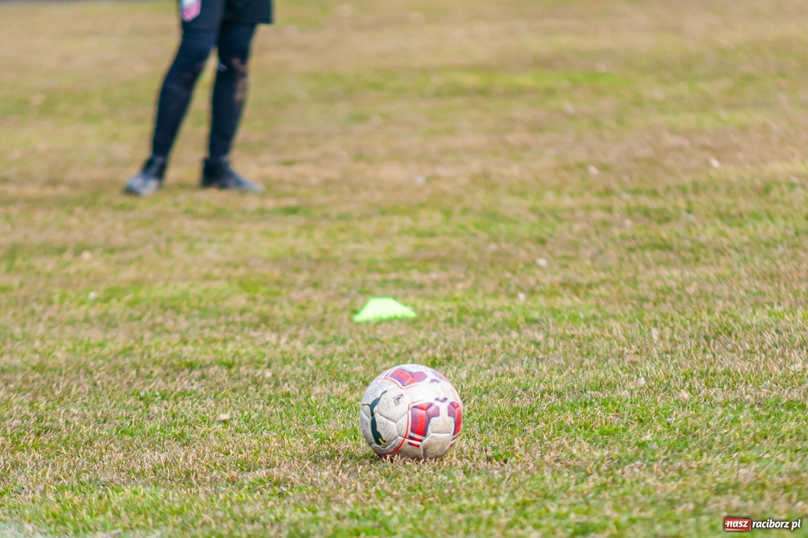 Zdjęcie w galerii na portalu naszraciborz.pl: APN Talent Trzebnica na zgrupowaniu w gminie Krzyżanowice [FOTO] wiadomości z regionu
