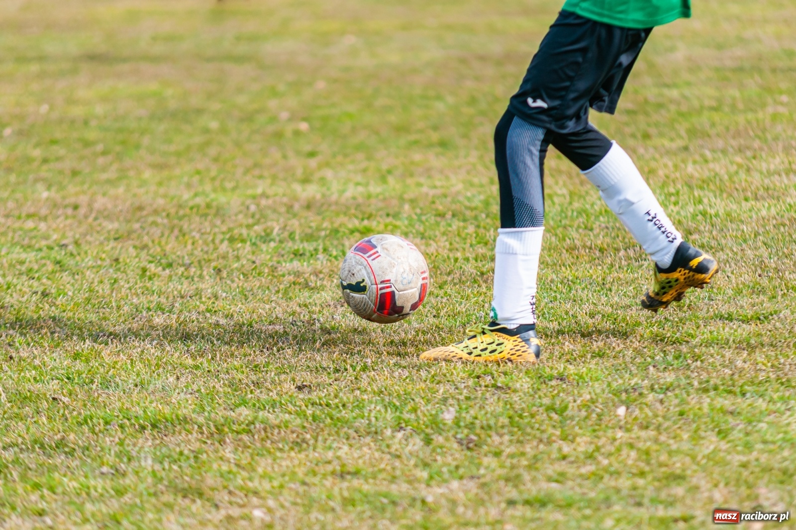 Zdjęcie w galerii na portalu naszraciborz.pl: APN Talent Trzebnica na zgrupowaniu w gminie Krzyżanowice [FOTO] wiadomości z regionu