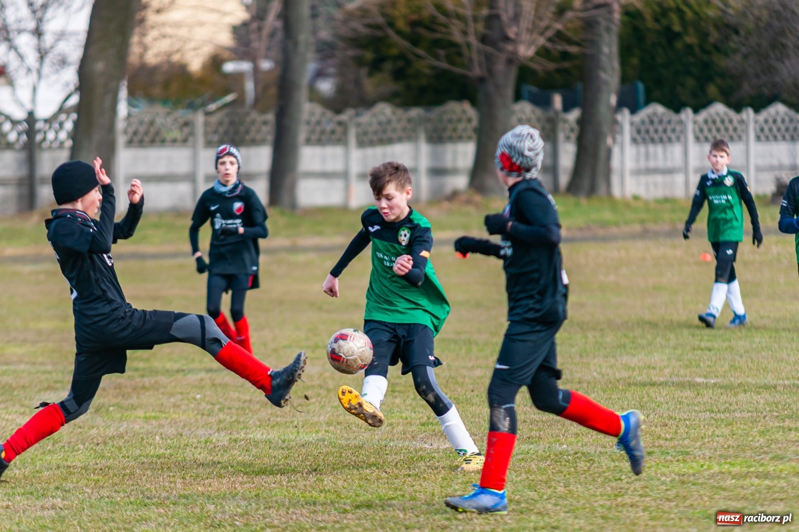 Zdjęcie w galerii na portalu naszraciborz.pl: APN Talent Trzebnica na zgrupowaniu w gminie Krzyżanowice [FOTO] wiadomości z regionu