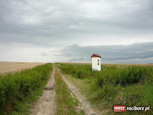 Zdjęcie w galerii na portalu naszraciborz.pl: Pogranicze na fotografiach wiadomości z regionu