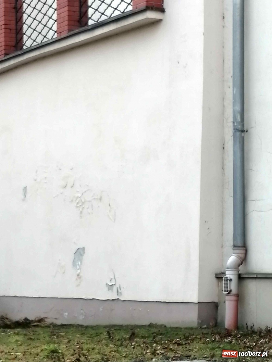 Zdjęcie w galerii na portalu naszraciborz.pl: Czytelnik alarmuje. Zamek wymaga kosztownych napraw wiadomości z regionu