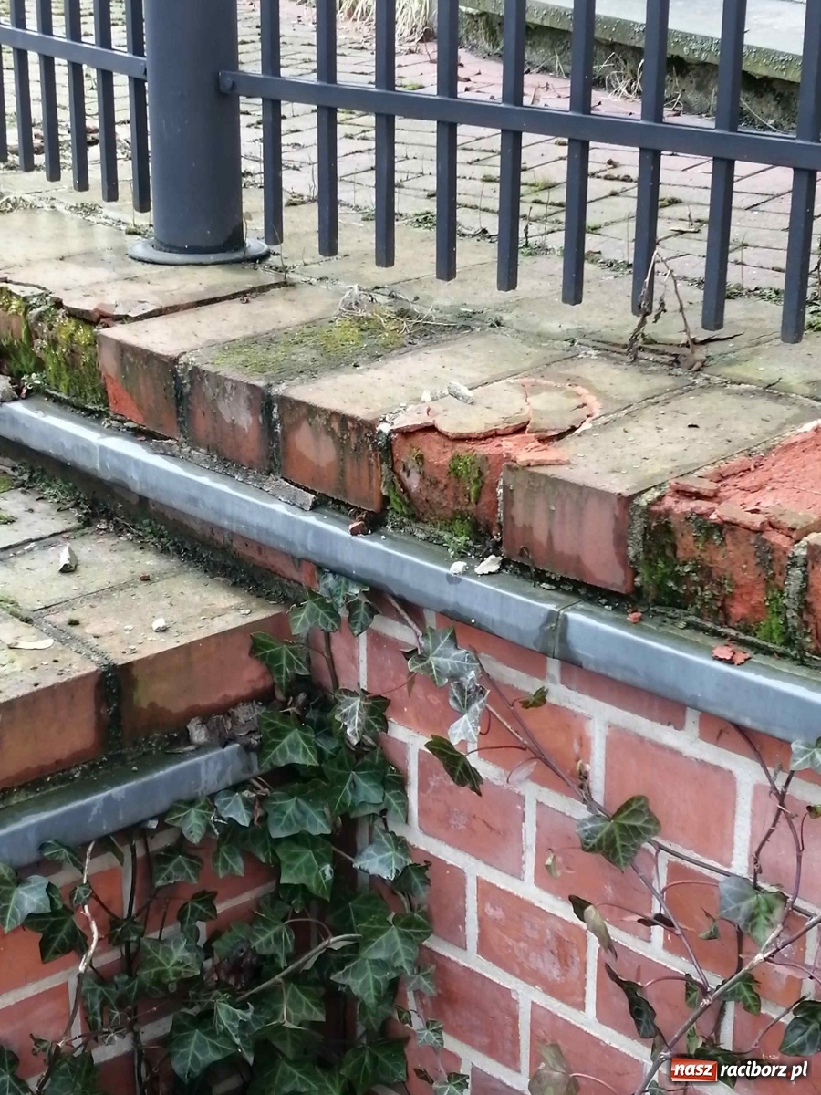 Zdjęcie w galerii na portalu naszraciborz.pl: Czytelnik alarmuje. Zamek wymaga kosztownych napraw wiadomości z regionu