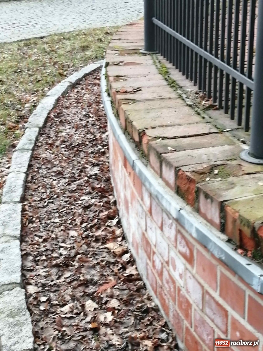 Zdjęcie w galerii na portalu naszraciborz.pl: Czytelnik alarmuje. Zamek wymaga kosztownych napraw wiadomości z regionu