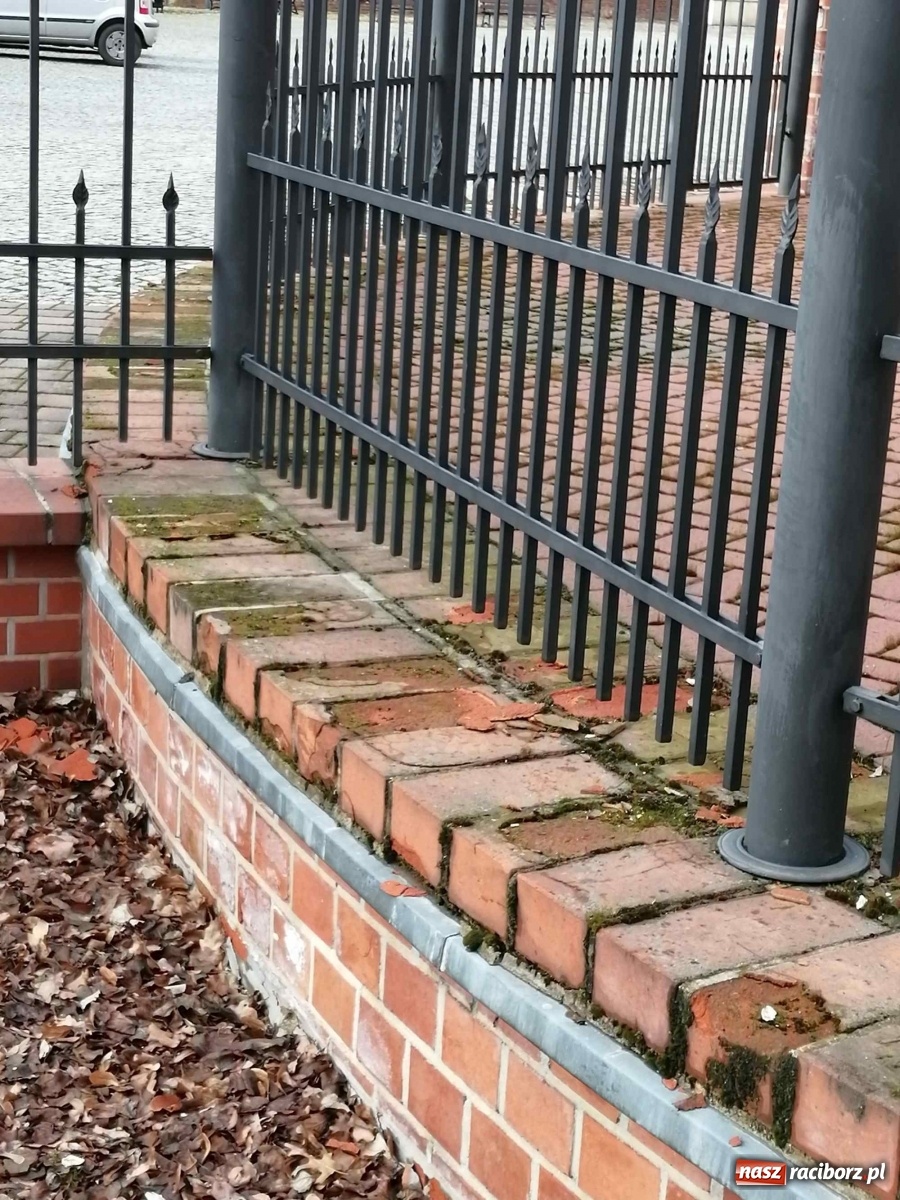 Zdjęcie w galerii na portalu naszraciborz.pl: Czytelnik alarmuje. Zamek wymaga kosztownych napraw wiadomości z regionu