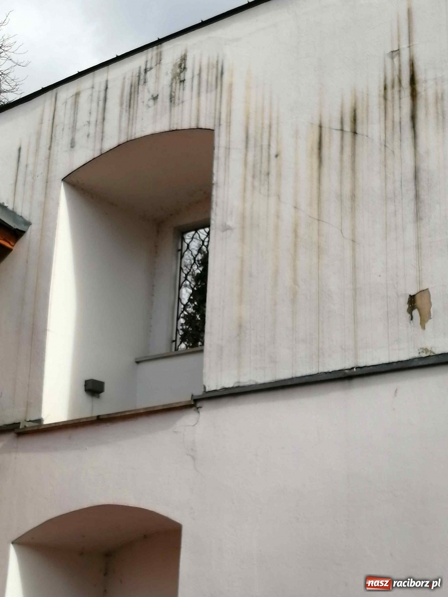 Zdjęcie w galerii na portalu naszraciborz.pl: Czytelnik alarmuje. Zamek wymaga kosztownych napraw wiadomości z regionu