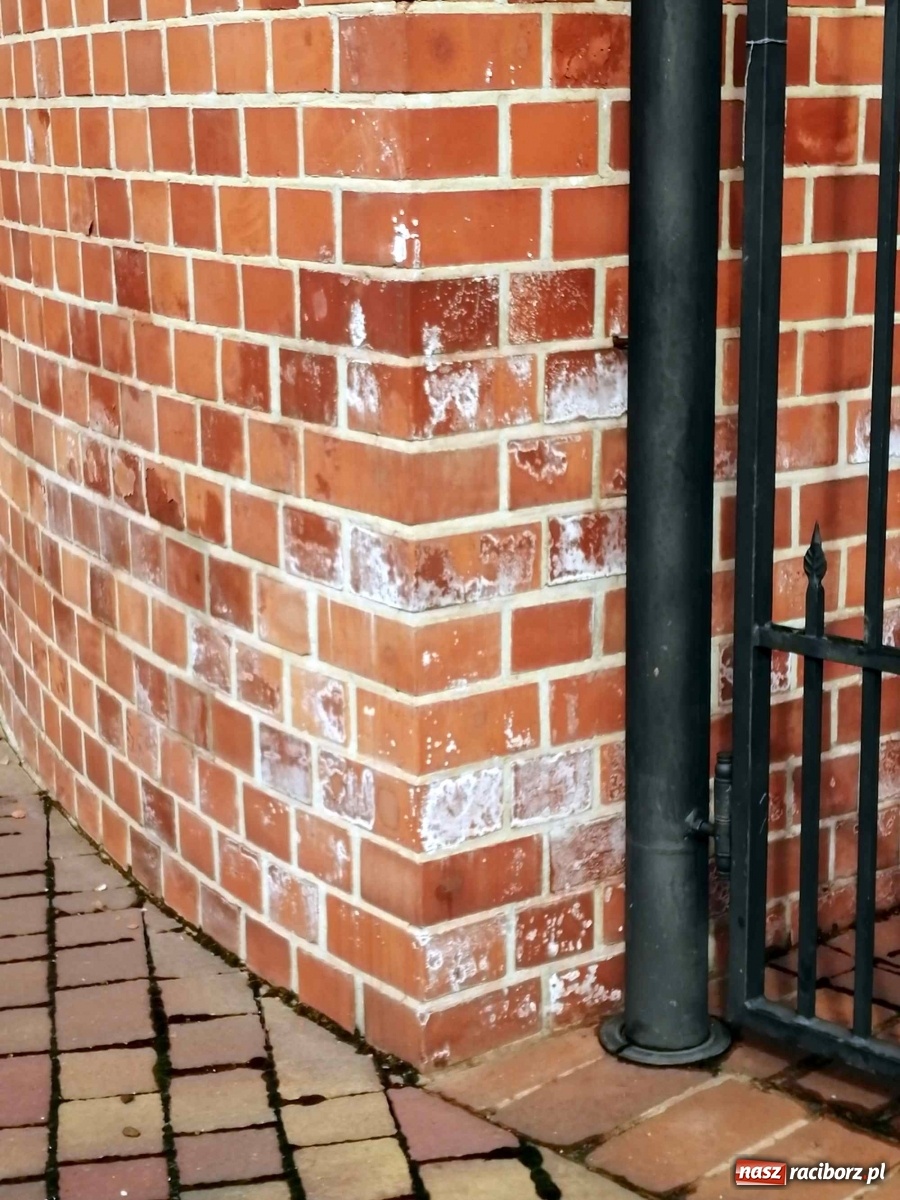 Zdjęcie w galerii na portalu naszraciborz.pl: Czytelnik alarmuje. Zamek wymaga kosztownych napraw wiadomości z regionu