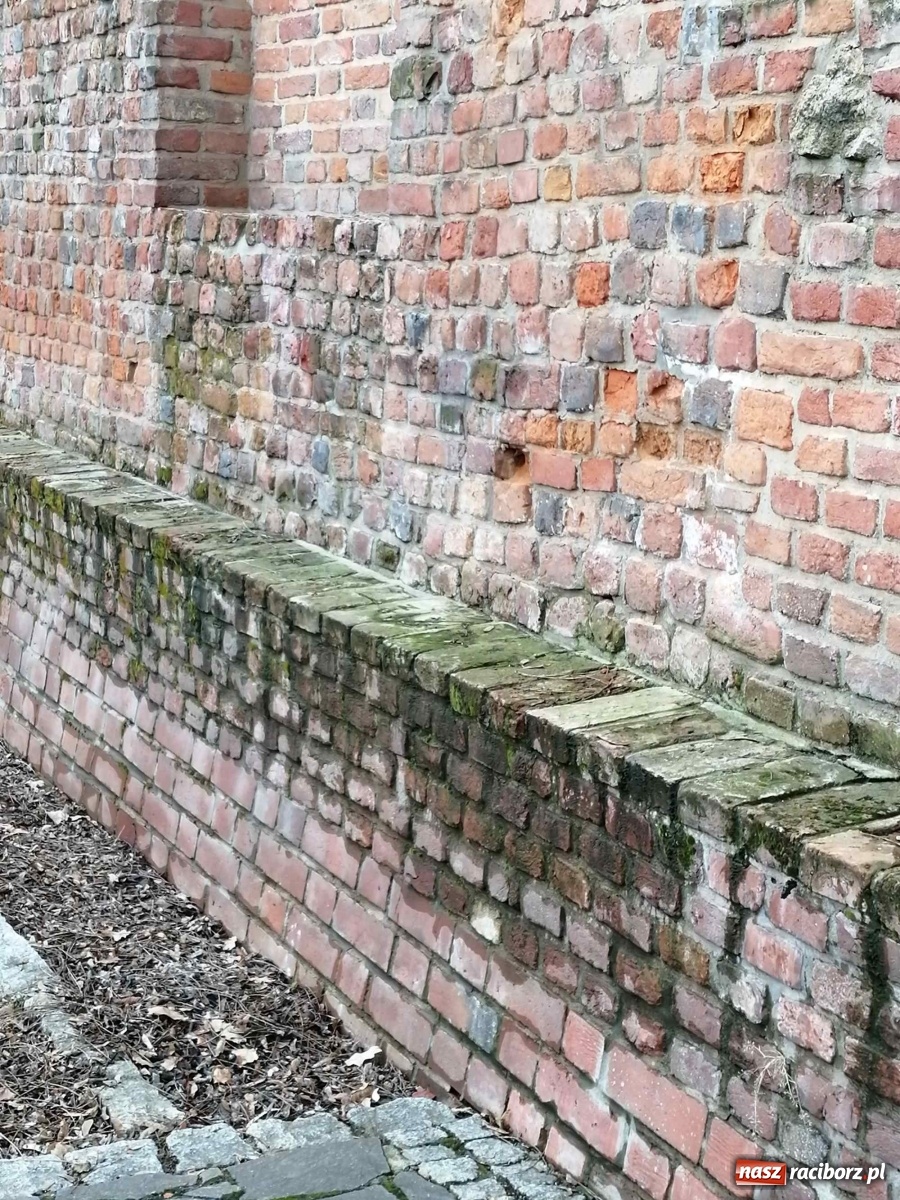 Zdjęcie w galerii na portalu naszraciborz.pl: Czytelnik alarmuje. Zamek wymaga kosztownych napraw wiadomości z regionu