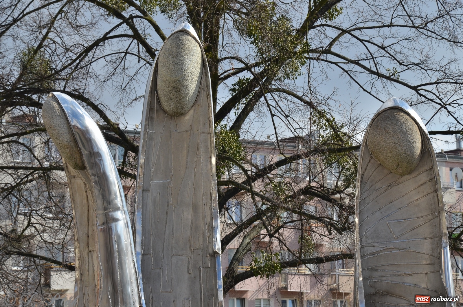 Zdjęcie w galerii na portalu naszraciborz.pl: Ratusz odpowiada na pytanie o koszty klownów i aniołów wiadomości z regionu