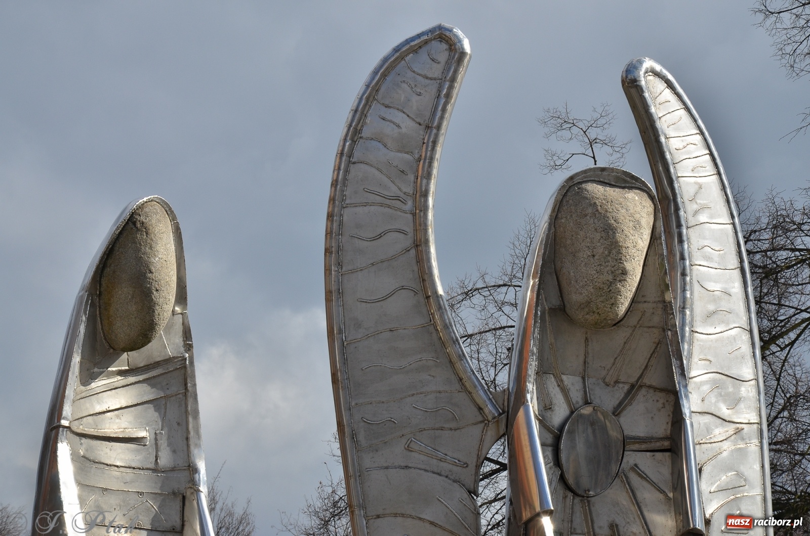 Zdjęcie w galerii na portalu naszraciborz.pl: Ratusz odpowiada na pytanie o koszty klownów i aniołów wiadomości z regionu