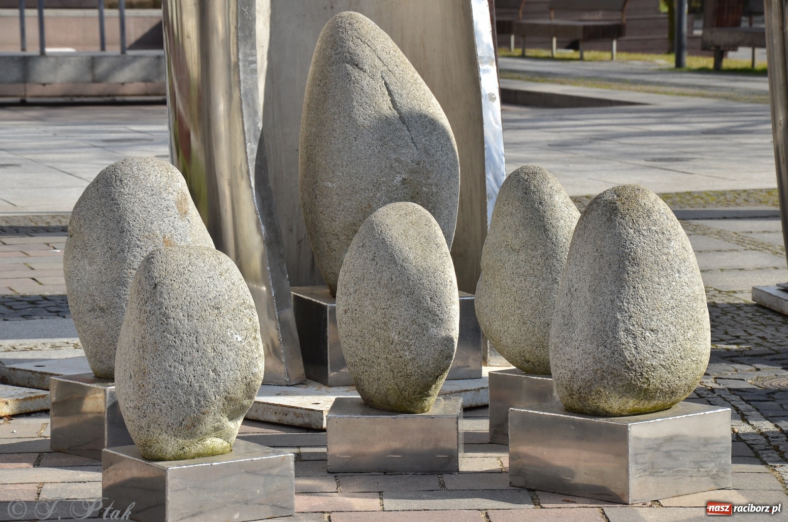 Zdjęcie w galerii na portalu naszraciborz.pl: Ratusz odpowiada na pytanie o koszty klownów i aniołów wiadomości z regionu