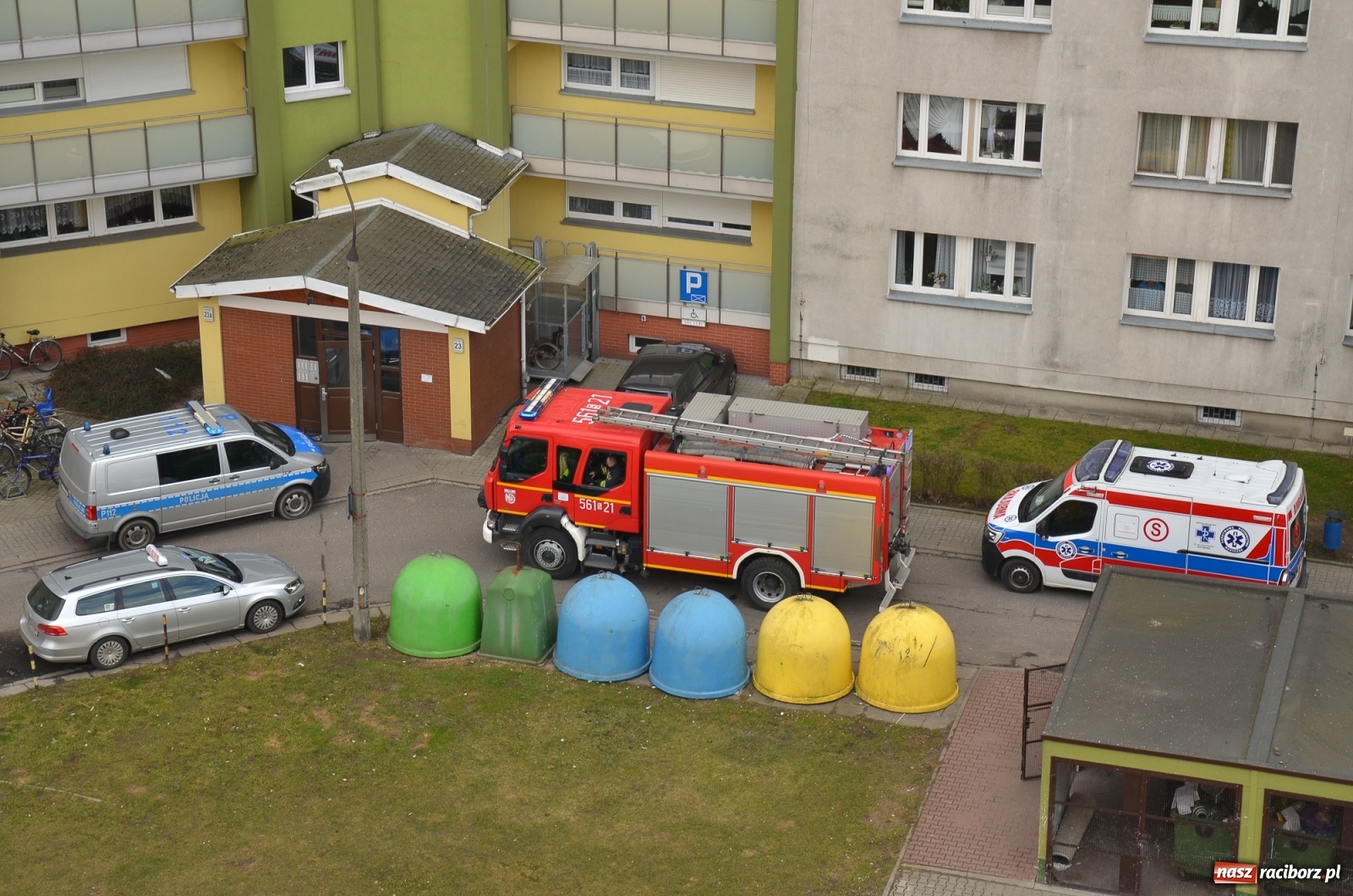 Zdjęcie w galerii na portalu naszraciborz.pl: Strażacka akcja na Katowickiej. Ptak uwięziony w elewacji w Sudole wiadomości z regionu