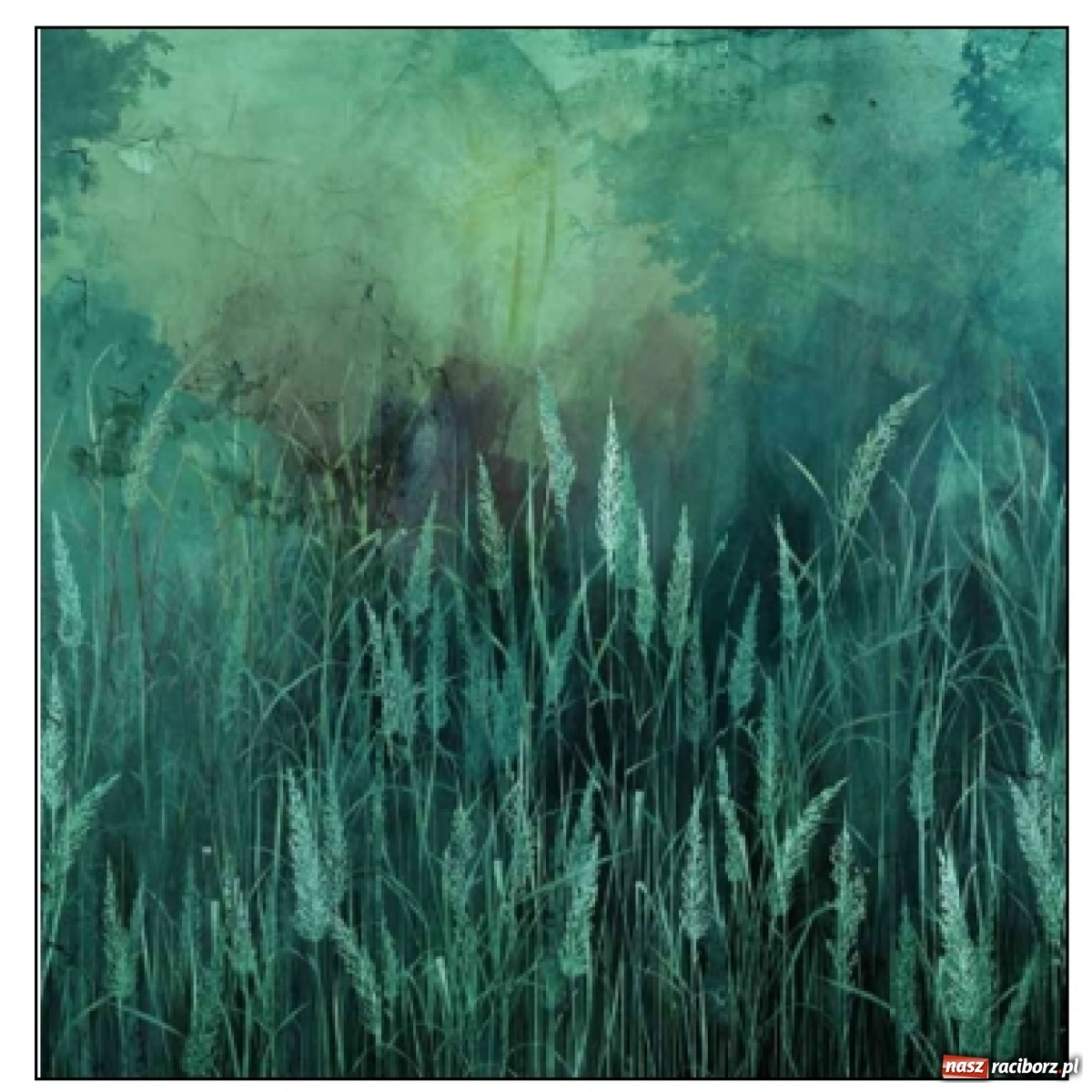 Zdjęcie w galerii na portalu naszraciborz.pl: Władze powiatu inwestują w komfort swojej pracy. Powstanie czwarta sala obrad wiadomości z regionu