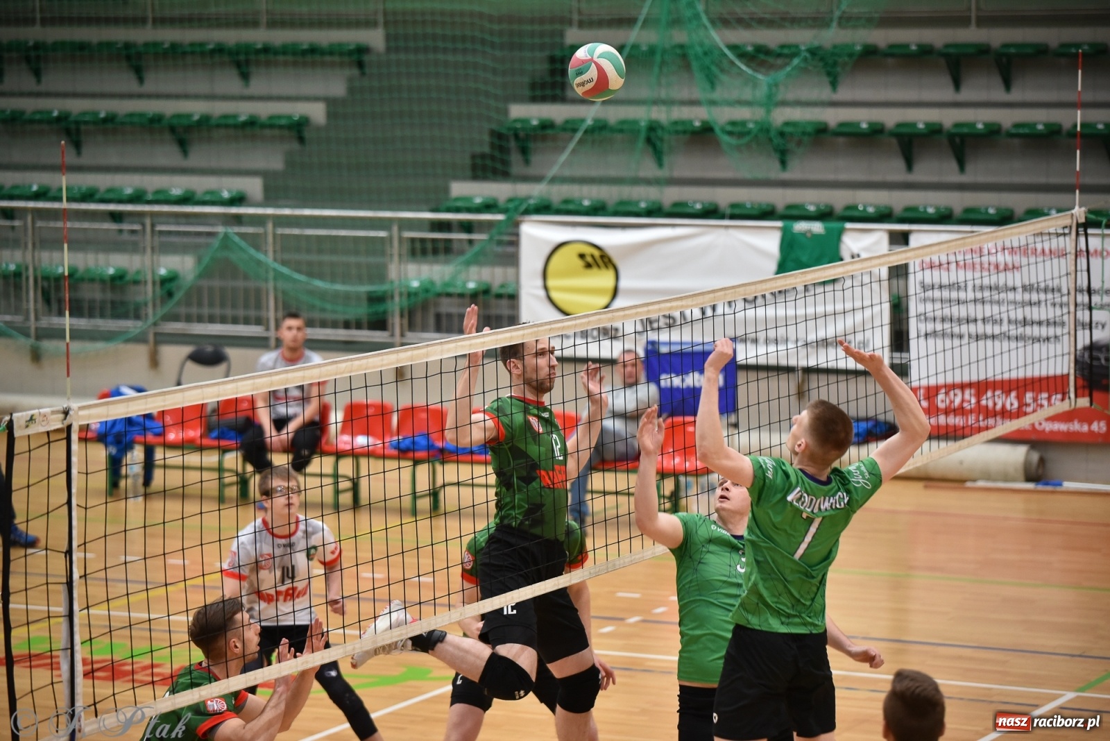 Zdjęcie w galerii na portalu naszraciborz.pl: Siatkówka. Mógł być spacerek, a było pod górkę [FOTO] wiadomości z regionu