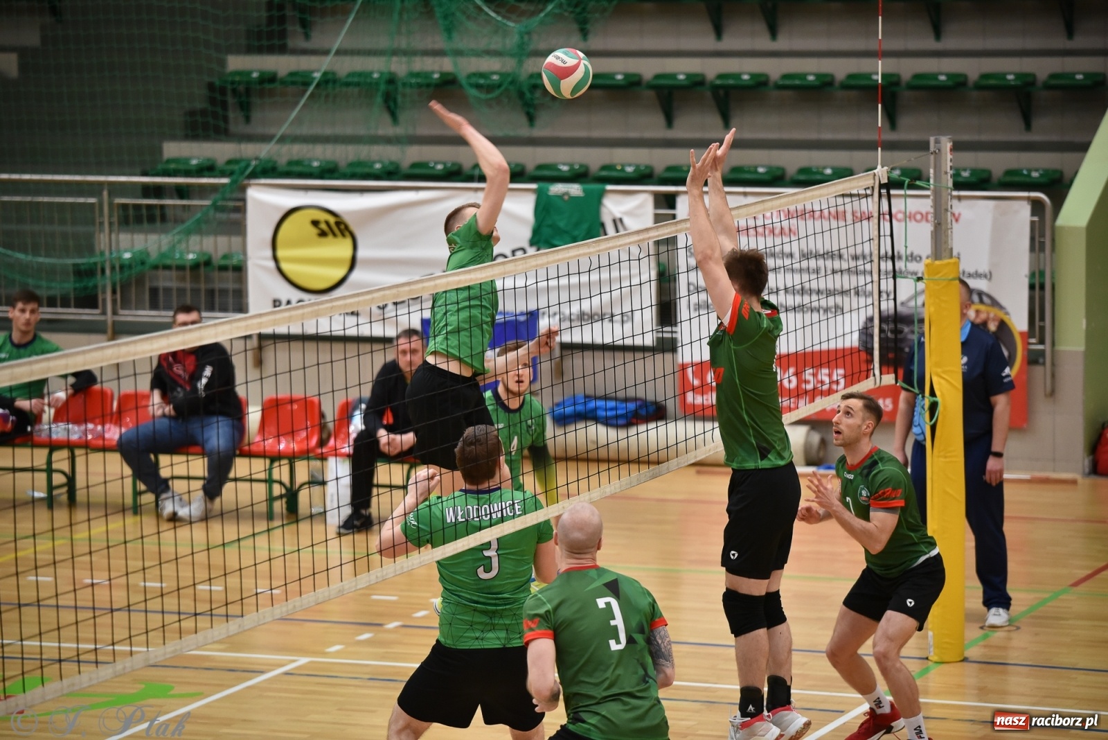 Zdjęcie w galerii na portalu naszraciborz.pl: Siatkówka. Mógł być spacerek, a było pod górkę [FOTO] wiadomości z regionu