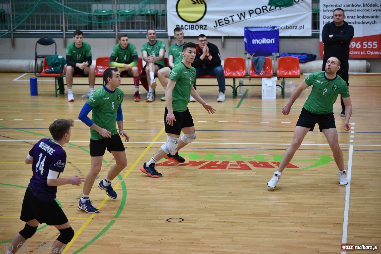 Zdjęcie w galerii na portalu naszraciborz.pl: Siatkówka. Mógł być spacerek, a było pod górkę [FOTO] wiadomości z regionu