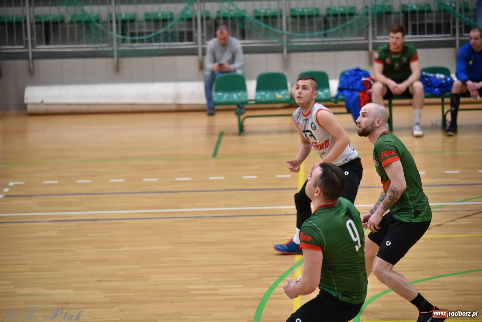 Zdjęcie w galerii na portalu naszraciborz.pl: Siatkówka. Mógł być spacerek, a było pod górkę [FOTO] wiadomości z regionu