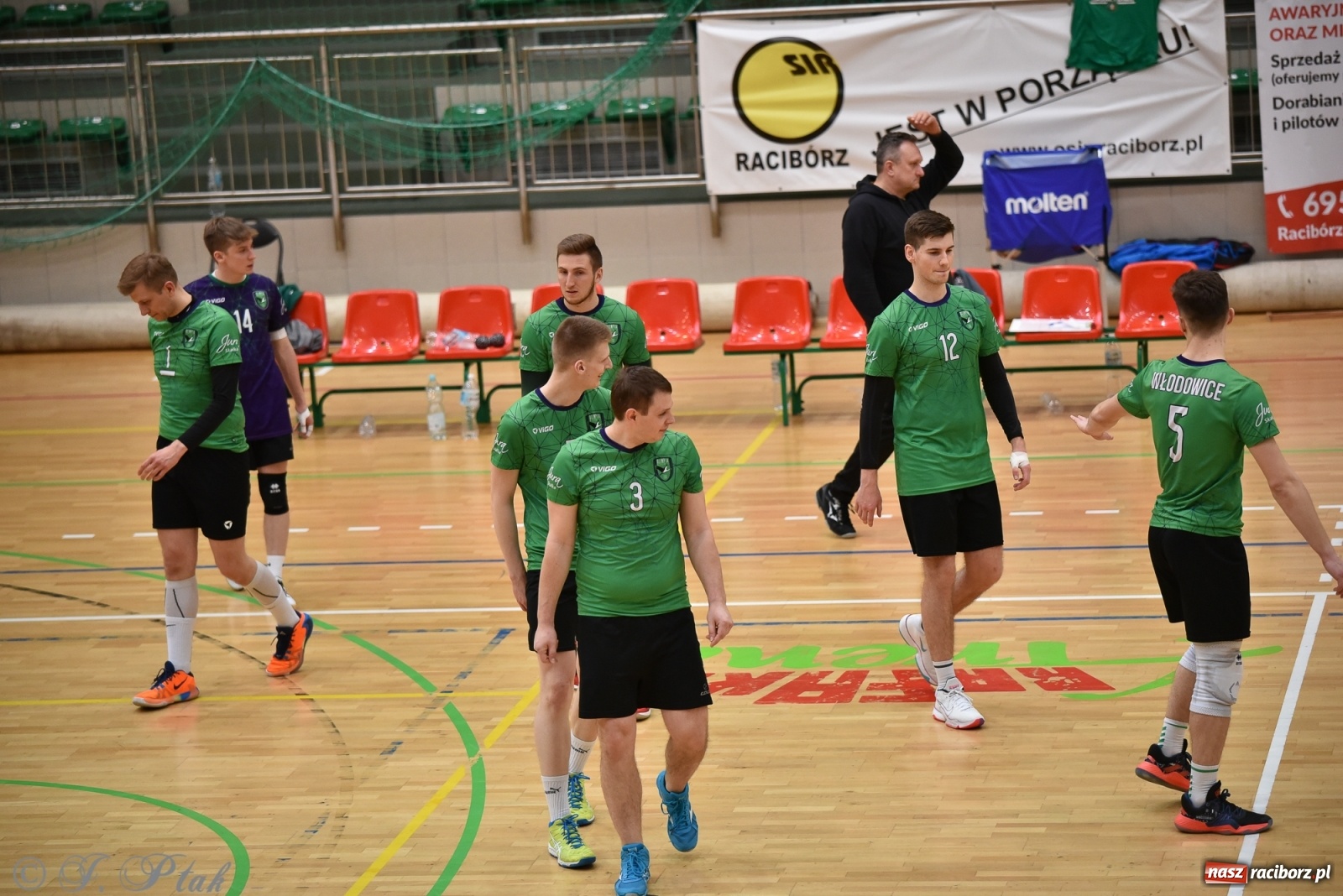 Zdjęcie w galerii na portalu naszraciborz.pl: Siatkówka. Mógł być spacerek, a było pod górkę [FOTO] wiadomości z regionu