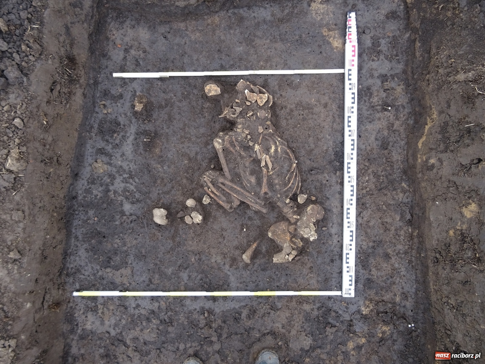Zdjęcie w galerii na portalu naszraciborz.pl: Rolnik odnalazł na Starej Wsi ludzkie szczątki wiadomości z regionu