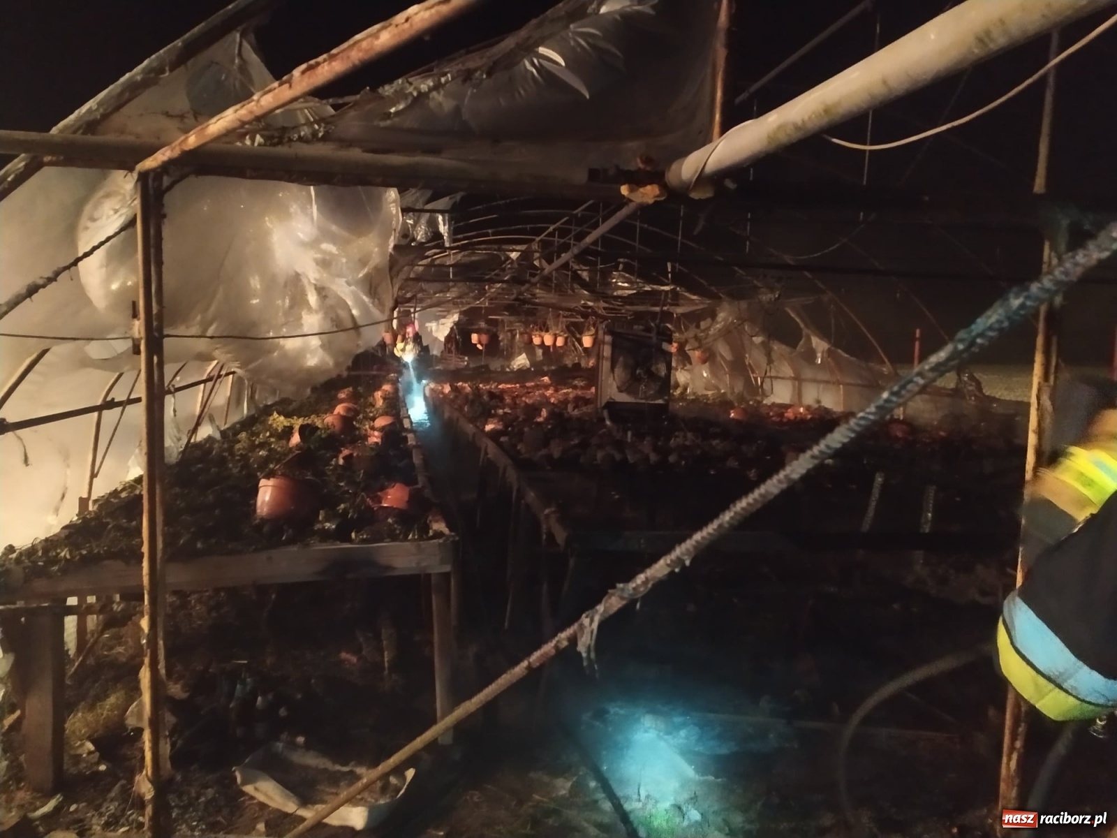 Zdjęcie w galerii na portalu naszraciborz.pl: Kilkadziesiąt tysięcy złotych strat w pożarze tunelu foliowego w Kornowacu wiadomości z regionu