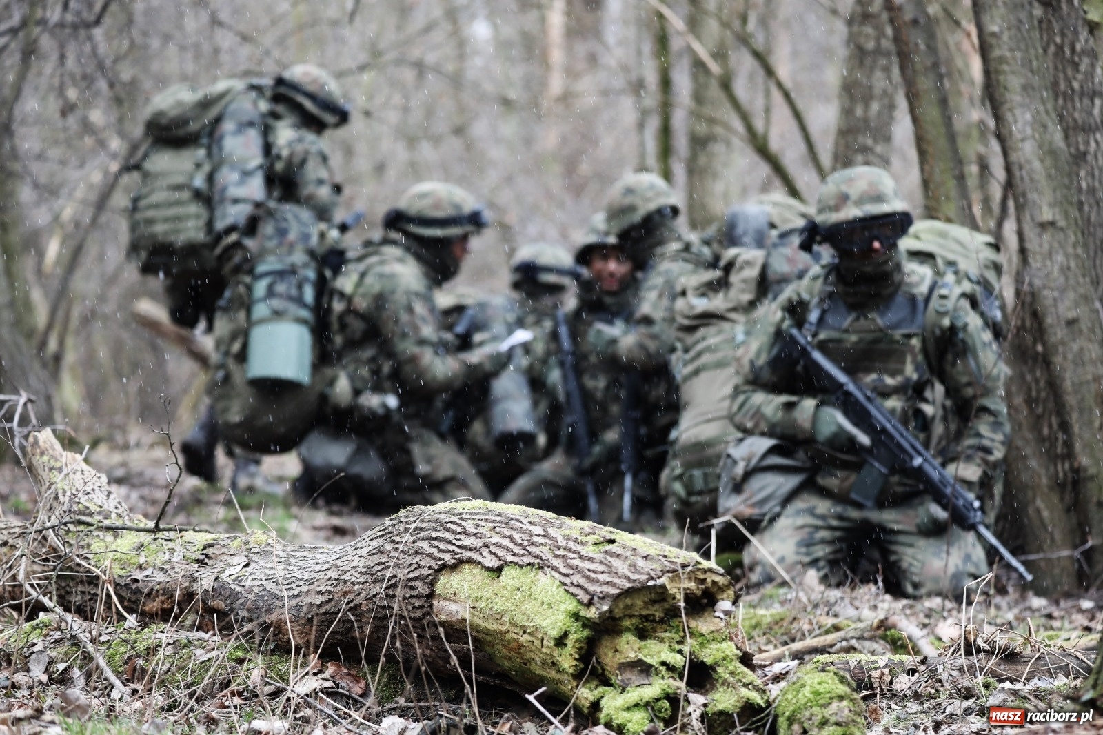 Zdjęcie w galerii na portalu naszraciborz.pl: Żołnierze 13 ŚBOT podnoszą poziom wyszkolenia wiadomości z regionu