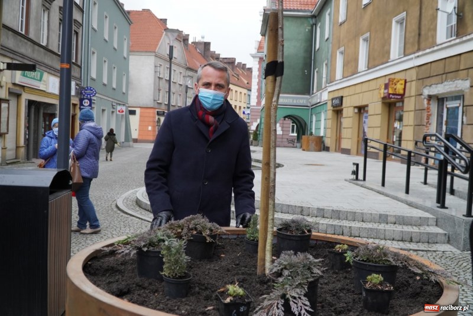 Zdjęcie w galerii na portalu naszraciborz.pl: Prezydent osobiście przyglądał się sadzeniu drzewka przy ul. Długiej wiadomości z regionu