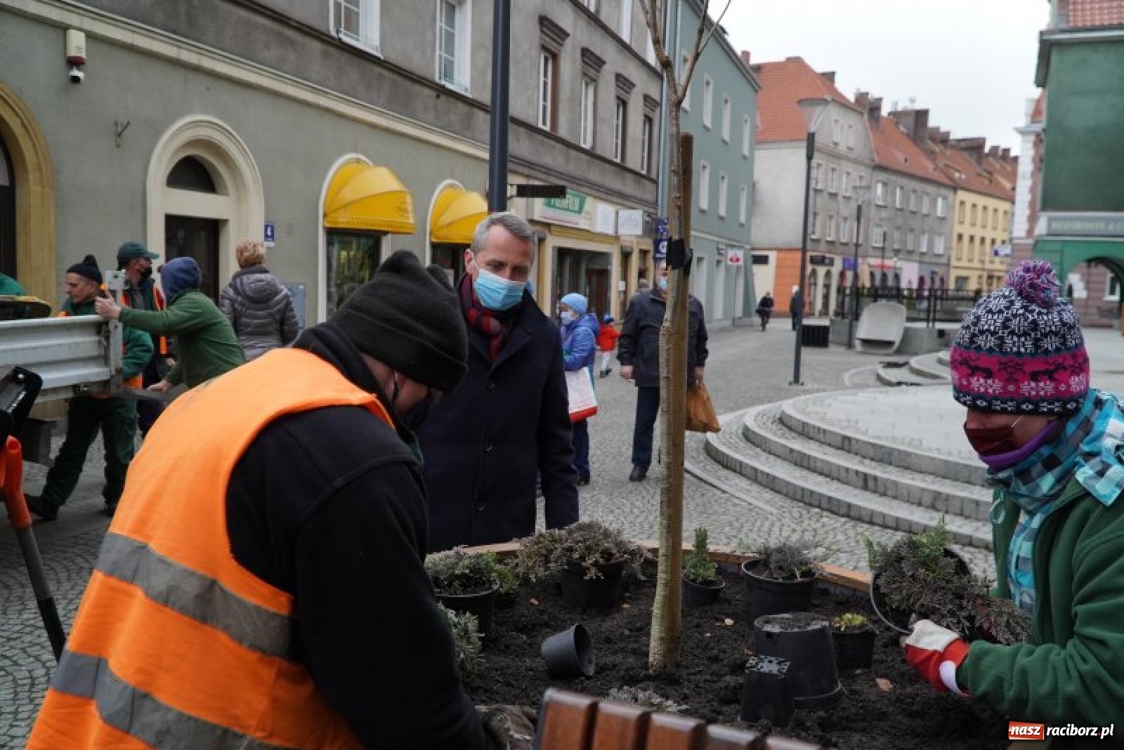 Zdjęcie w galerii na portalu naszraciborz.pl: Prezydent osobiście przyglądał się sadzeniu drzewka przy ul. Długiej wiadomości z regionu