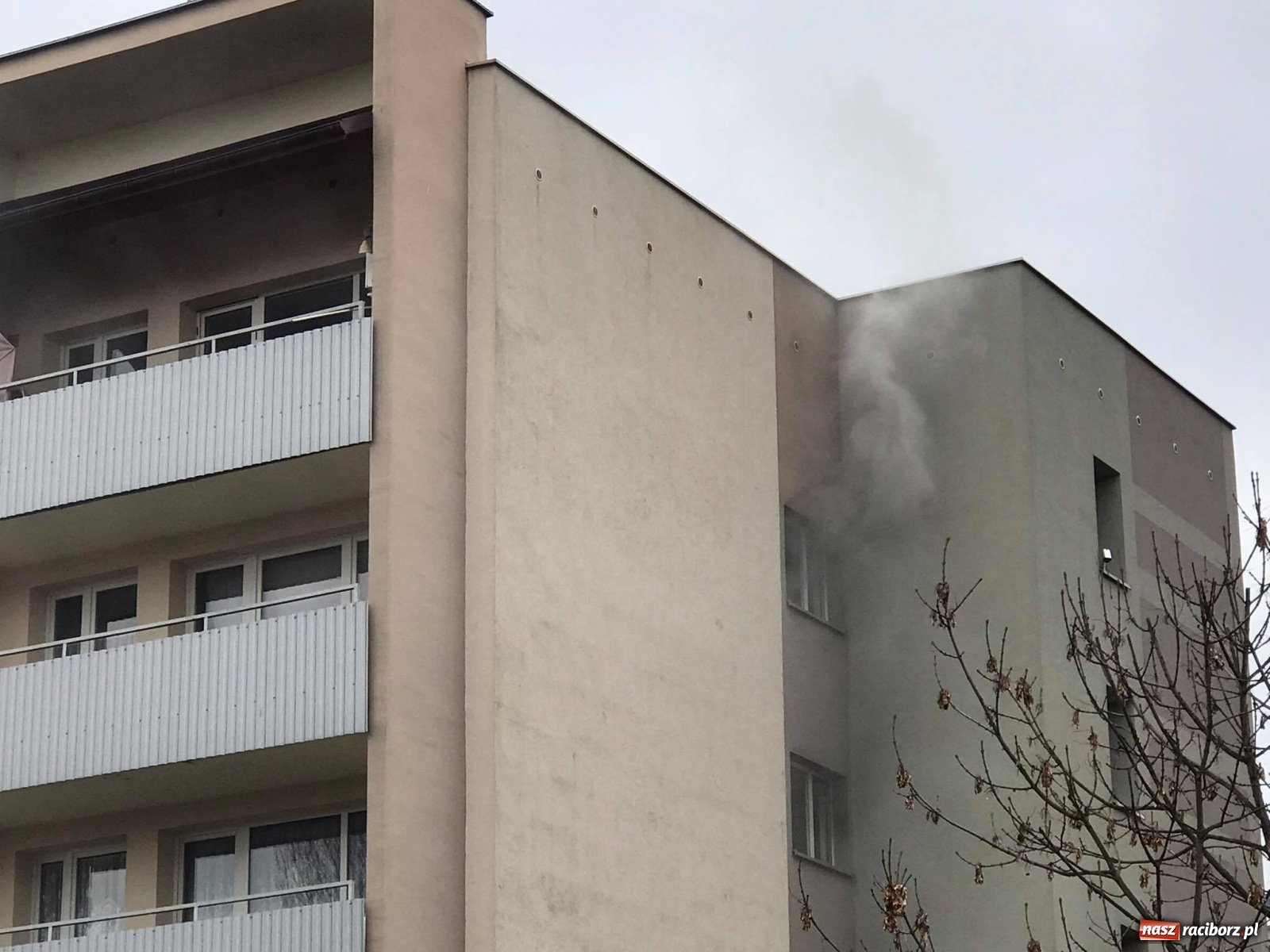 Zdjęcie w galerii na portalu naszraciborz.pl: Pożar mieszkania w bloku przy Słowackiego. Lokator nie żyje [FOTO i WIDEO] wiadomości z regionu