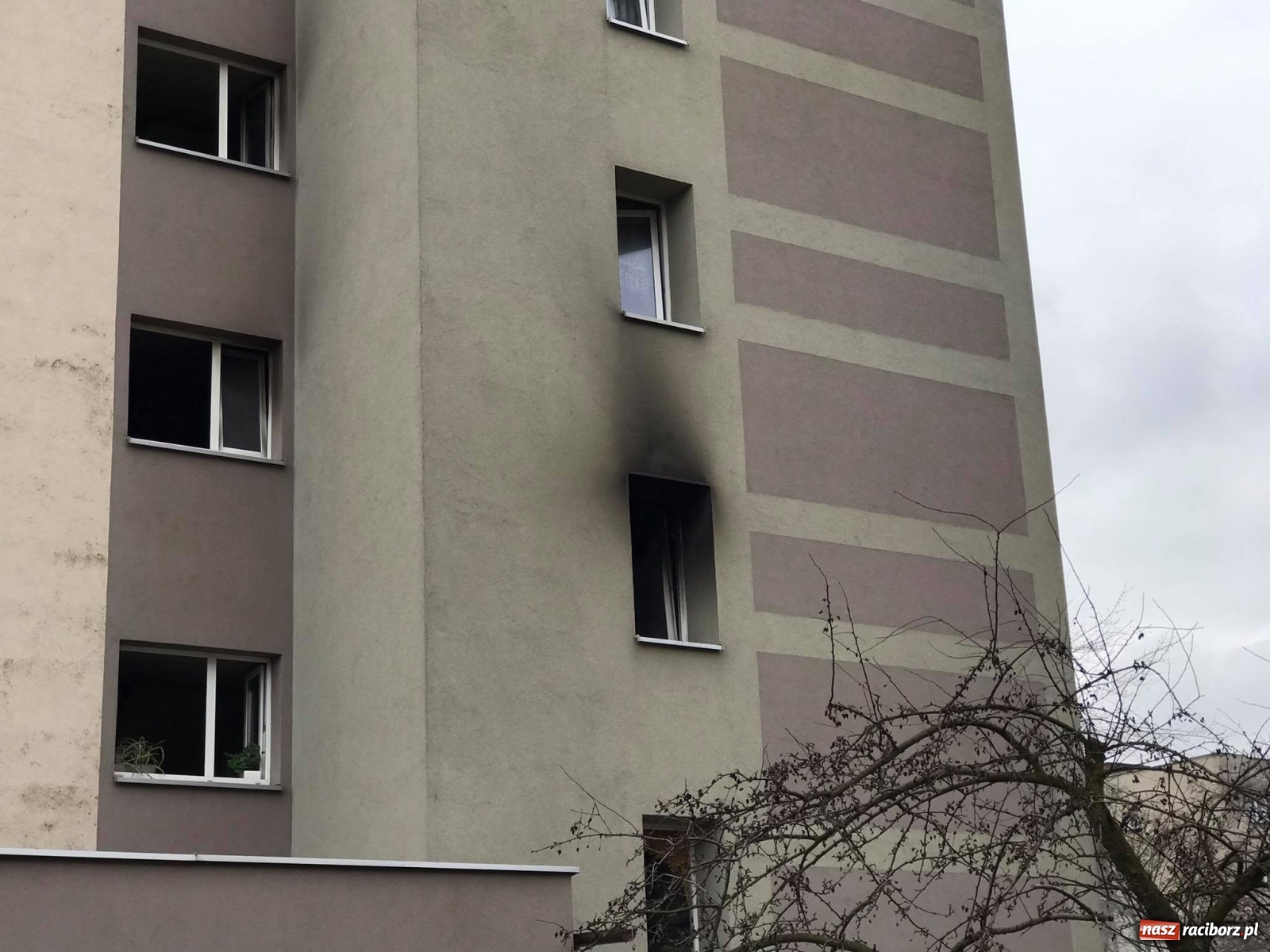 Zdjęcie w galerii na portalu naszraciborz.pl: Pożar mieszkania w bloku przy Słowackiego. Lokator nie żyje [FOTO i WIDEO] wiadomości z regionu