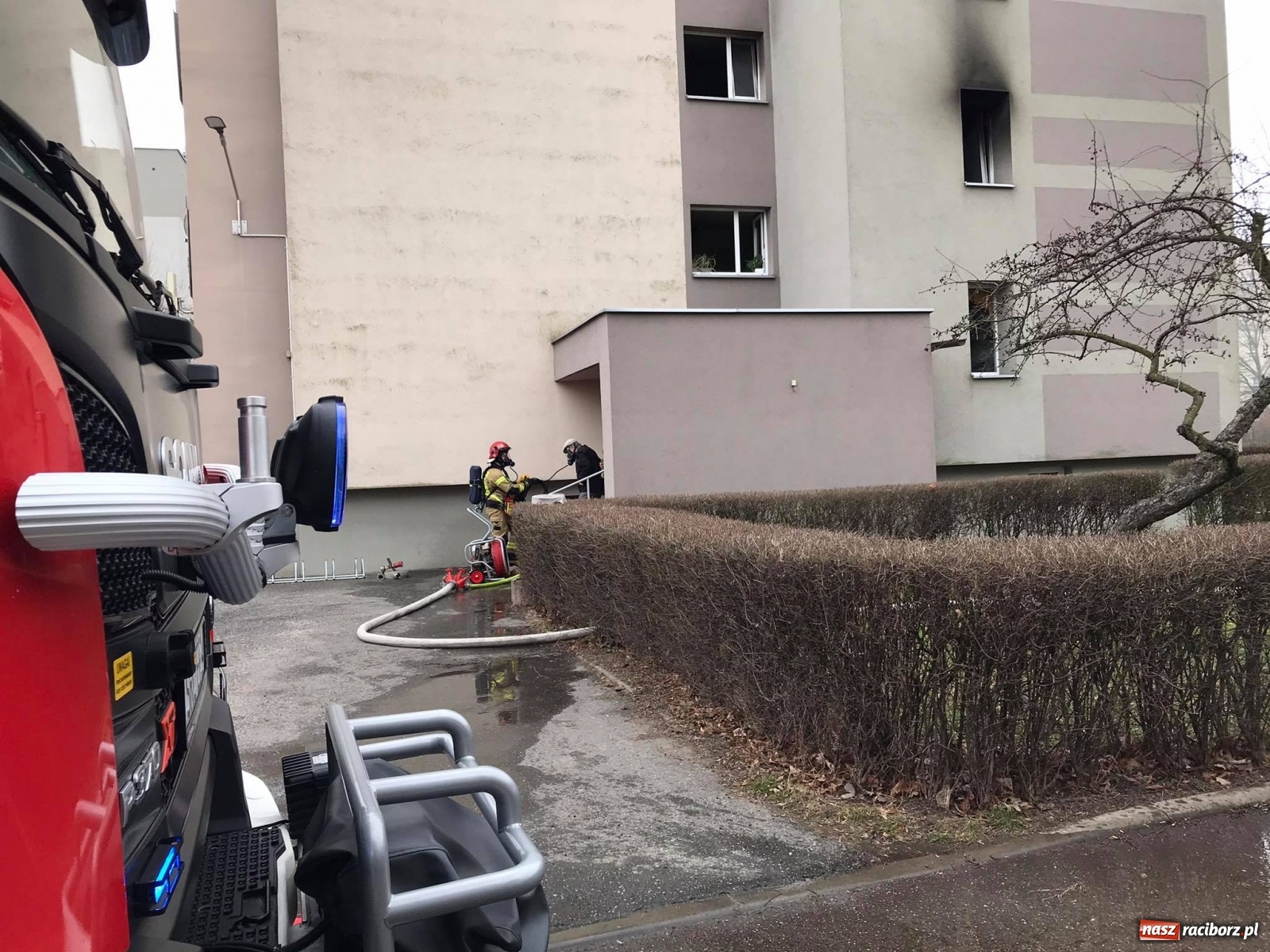 Zdjęcie w galerii na portalu naszraciborz.pl: Pożar mieszkania w bloku przy Słowackiego. Lokator nie żyje [FOTO i WIDEO] wiadomości z regionu