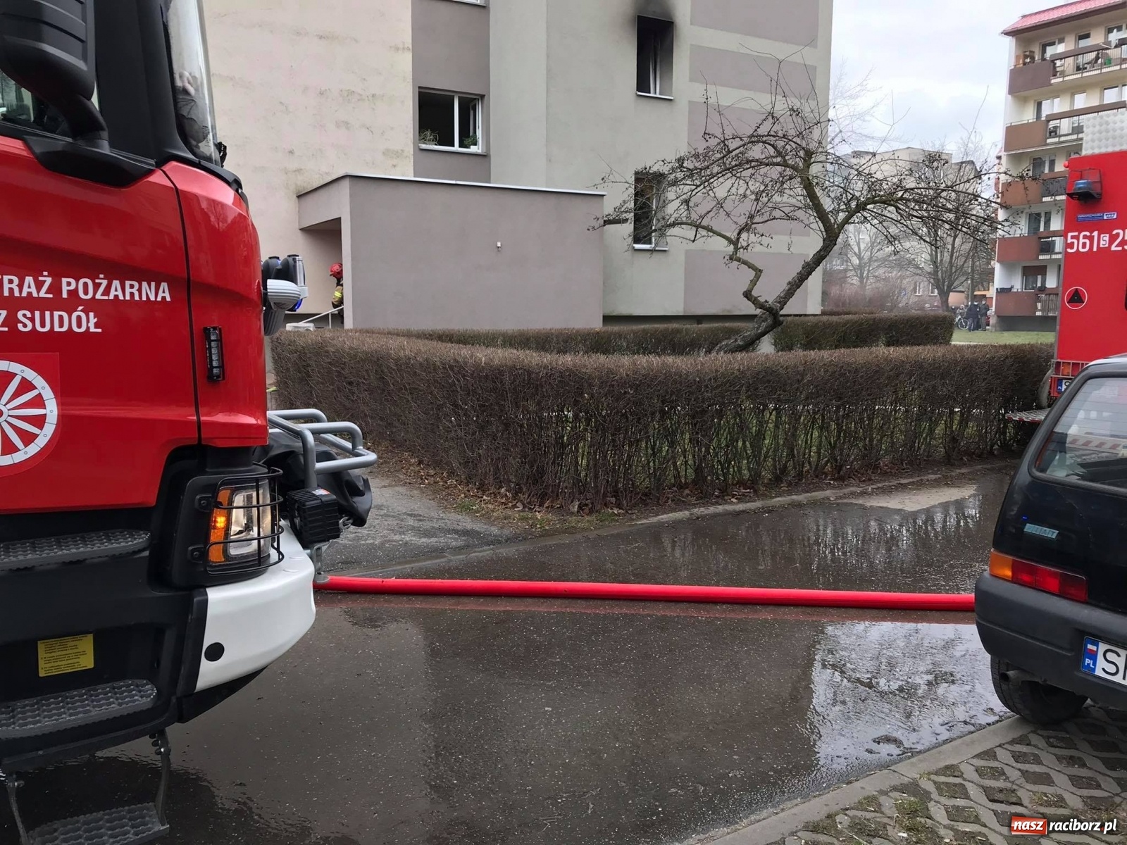 Zdjęcie w galerii na portalu naszraciborz.pl: Pożar mieszkania w bloku przy Słowackiego. Lokator nie żyje [FOTO i WIDEO] wiadomości z regionu