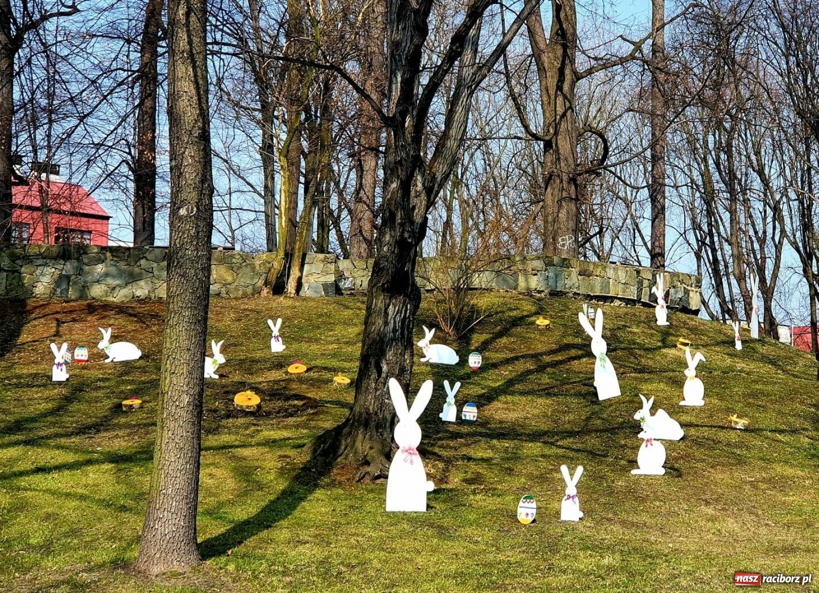 Zdjęcie w galerii na portalu naszraciborz.pl: Malinowe zające, wielkie jajo i żółte ptaszki. Miasta gotowe na Wielkanoc wiadomości z regionu