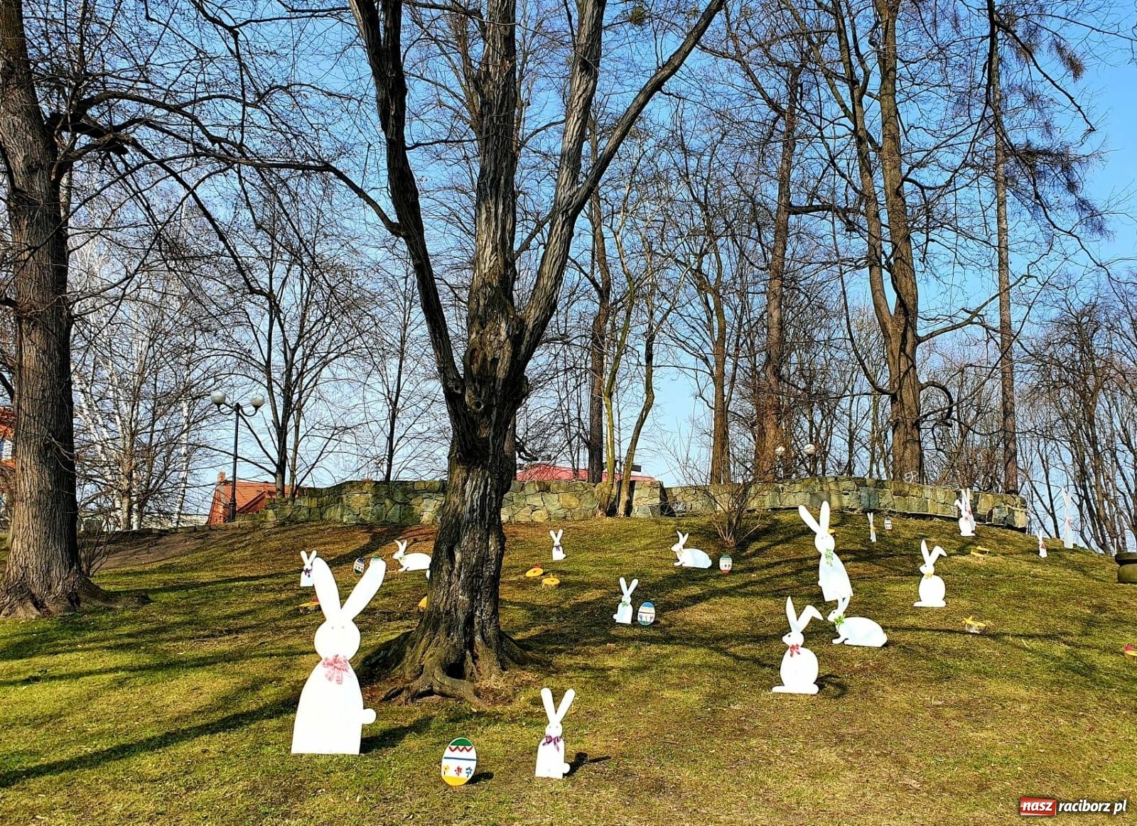Zdjęcie w galerii na portalu naszraciborz.pl: Malinowe zające, wielkie jajo i żółte ptaszki. Miasta gotowe na Wielkanoc wiadomości z regionu