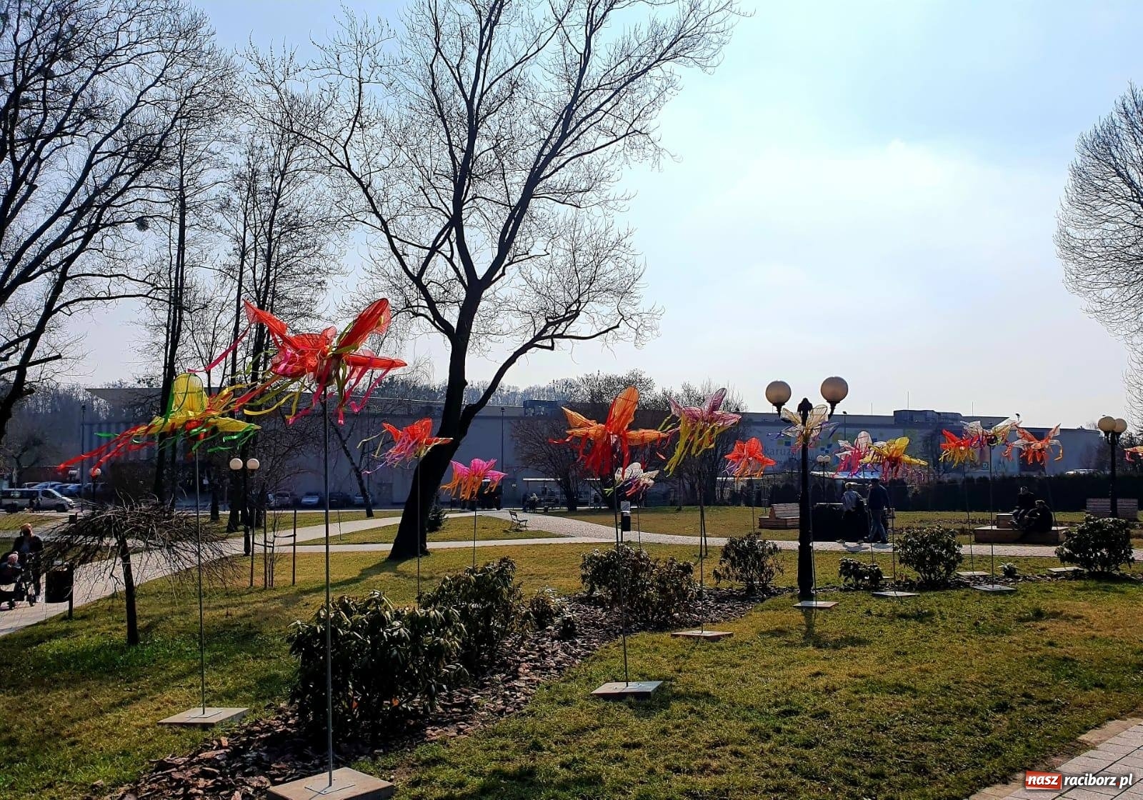 Zdjęcie w galerii na portalu naszraciborz.pl: Malinowe zające, wielkie jajo i żółte ptaszki. Miasta gotowe na Wielkanoc wiadomości z regionu