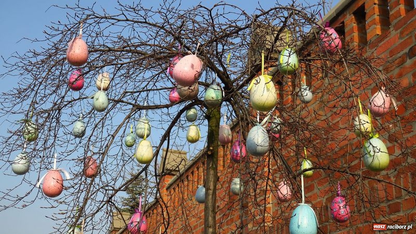 Zdjęcie w galerii na portalu naszraciborz.pl: Malinowe zające, wielkie jajo i żółte ptaszki. Miasta gotowe na Wielkanoc wiadomości z regionu