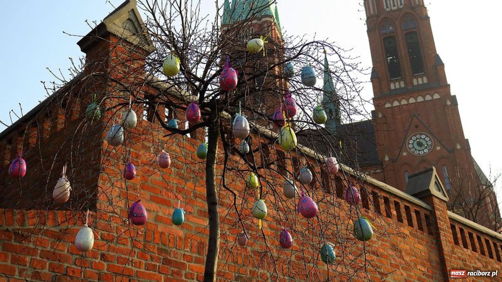Zdjęcie w galerii na portalu naszraciborz.pl: Malinowe zające, wielkie jajo i żółte ptaszki. Miasta gotowe na Wielkanoc wiadomości z regionu