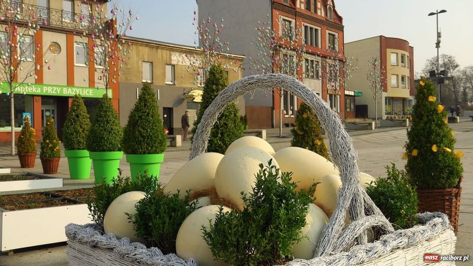 Zdjęcie w galerii na portalu naszraciborz.pl: Malinowe zające, wielkie jajo i żółte ptaszki. Miasta gotowe na Wielkanoc wiadomości z regionu