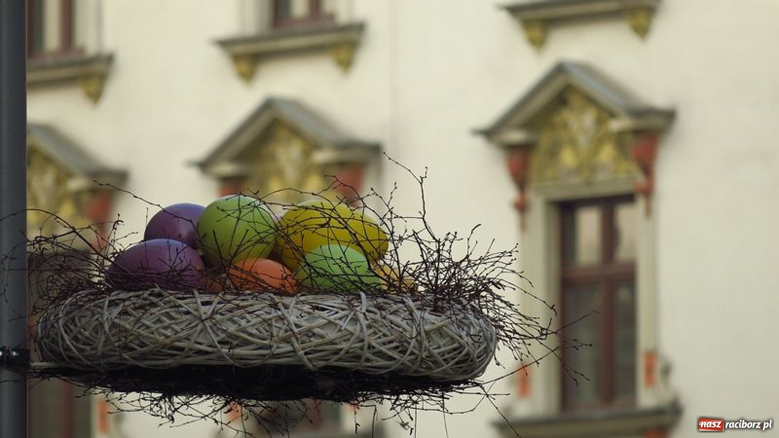 Zdjęcie w galerii na portalu naszraciborz.pl: Malinowe zające, wielkie jajo i żółte ptaszki. Miasta gotowe na Wielkanoc wiadomości z regionu