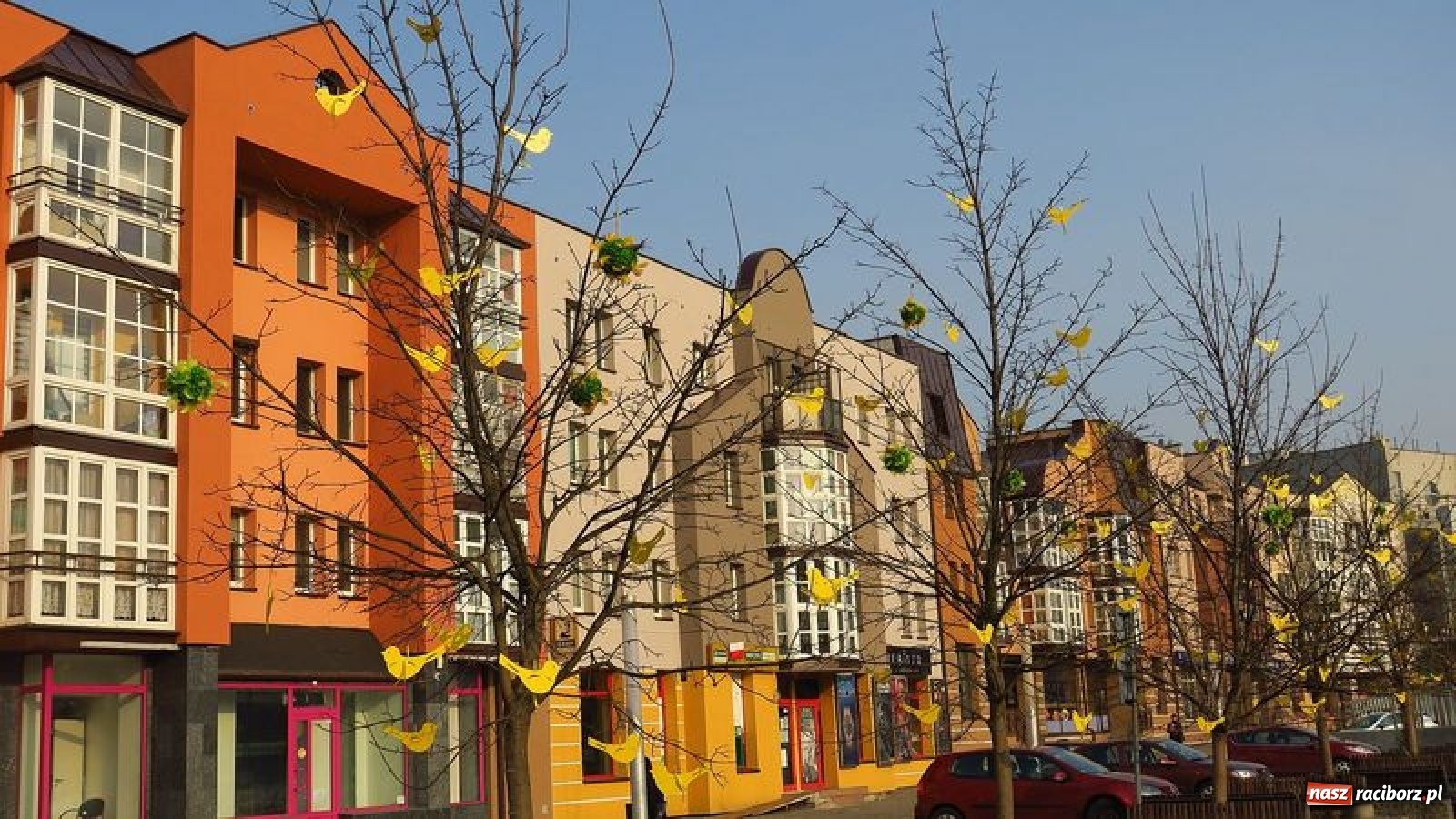 Zdjęcie w galerii na portalu naszraciborz.pl: Malinowe zające, wielkie jajo i żółte ptaszki. Miasta gotowe na Wielkanoc wiadomości z regionu